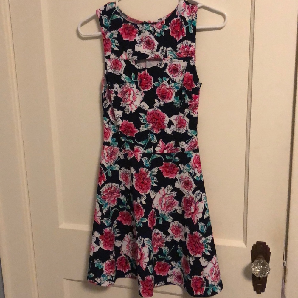 Floral Skater Dress